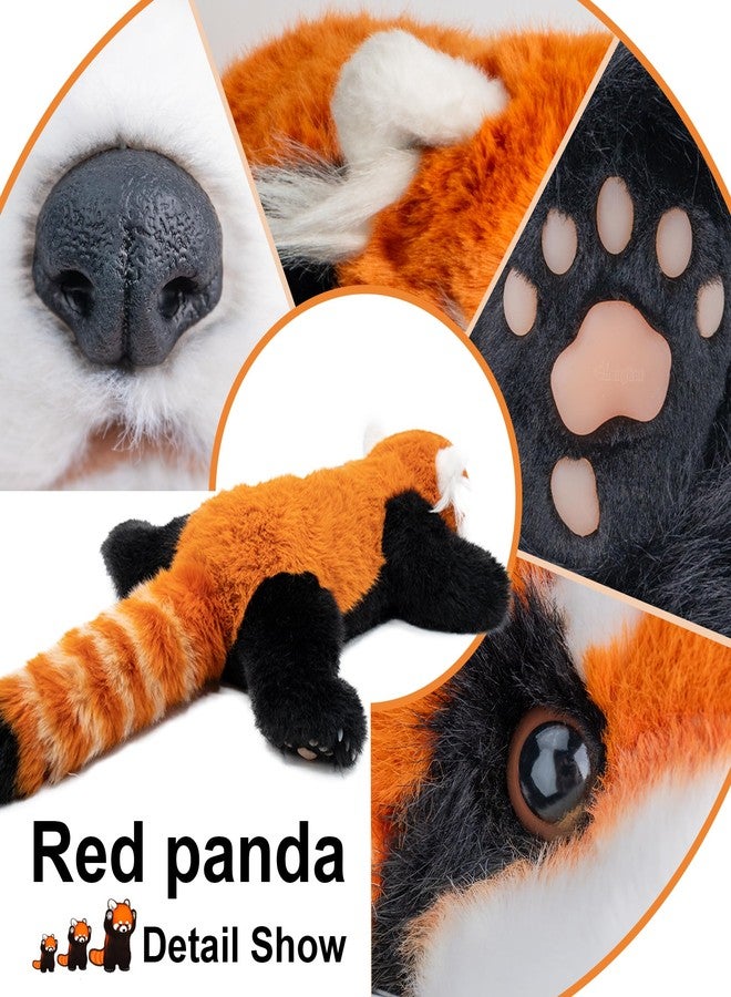 Chongker Cute Red Panda Plush Toy, Weighted Stuffed Animals, Red Panda Plush Animals Collection, Handmade Like Real, Large Size Stuffed Animals - Image 5
